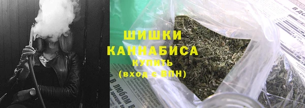 амф Богородицк