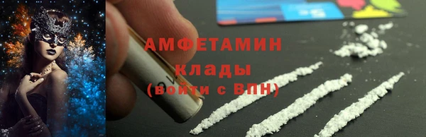 твердый Бородино