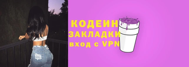 твердый Бородино