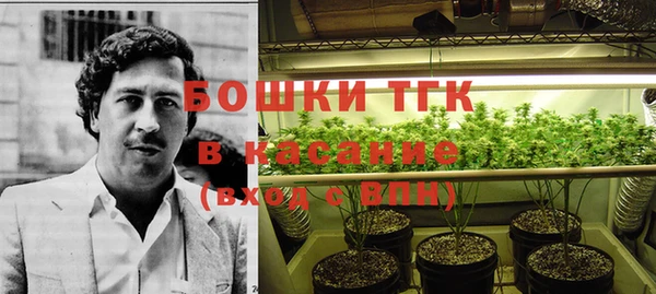 винт Богданович