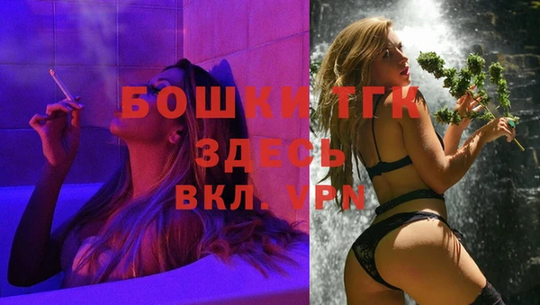 молекула духа Богородск
