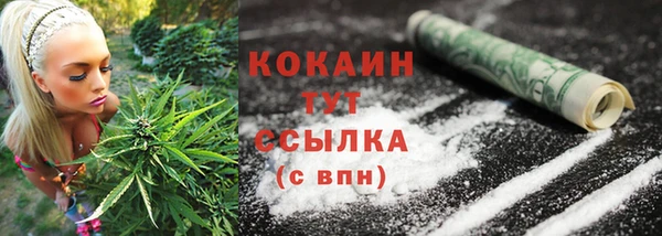 винт Богданович