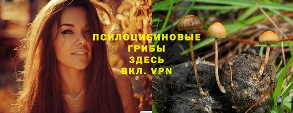 молекула духа Богородск