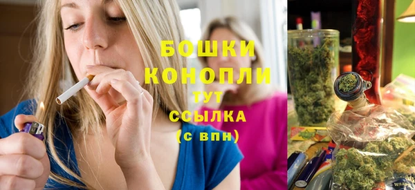 амф Богородицк