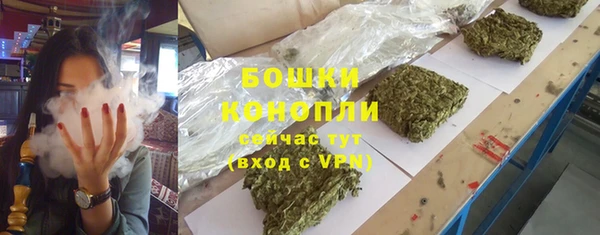 молекула духа Богородск