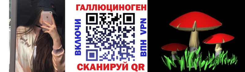 наркота  ссылка на мегу рабочий сайт  Псилоцибиновые грибы Psilocybine cubensis  Ярцево 
